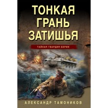 Тонкая грань затишья. Тамоников А.А.