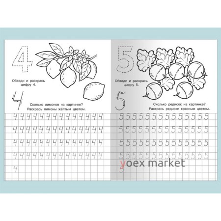 Раскраска Для детского сада. Прописи. Пишем цифры правильно