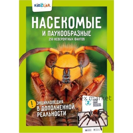 Насекомые и паукообразные. 250 невероятных фактов. Проскурякова К.