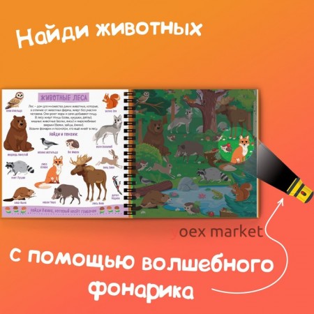 Секретная книга с волшебным фонариком «Зооленд», 22 стр.