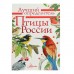 Энциклопедия «Птицы России». Мосалов А. А.