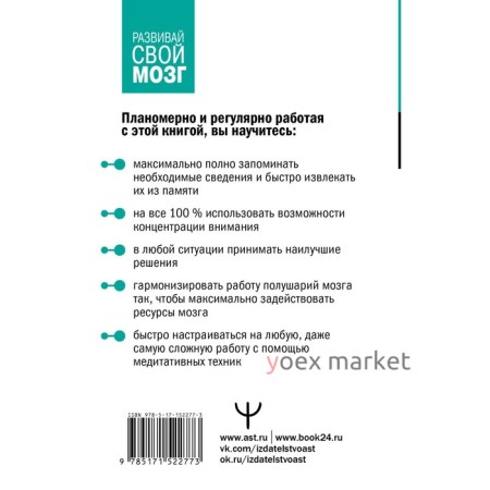 РЕ ШАЙ. Тренажер для мозга по восточным методикам. Могучий А.