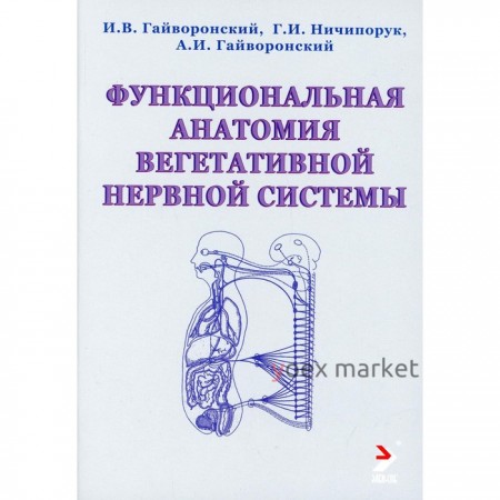 Функциональная анатомия вегетативной нервной системы. Гайворонский И.В., Ничипорук Г.И., Гайворонский А.И.