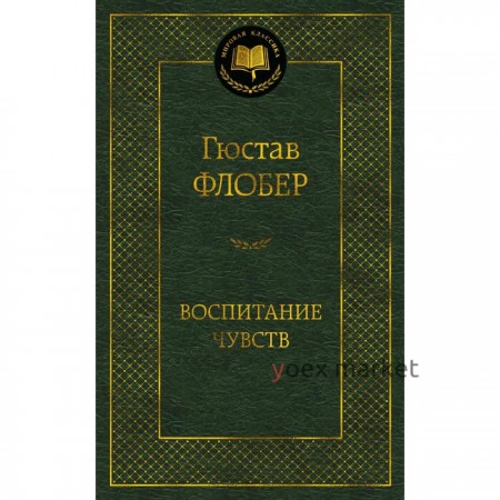 Воспитание чувств. Флобер Г.