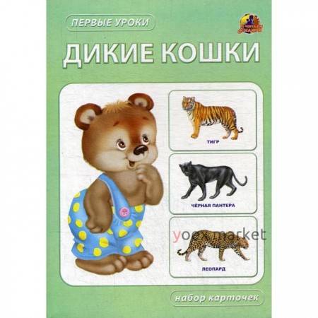 Дикие кошки. Набор карточек