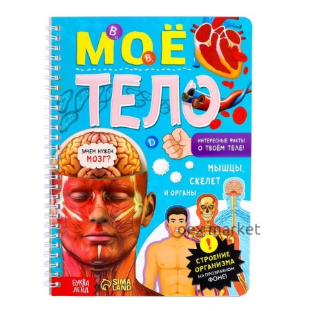 Книга с прозрачными страницами «Моё тело», 32 стр.