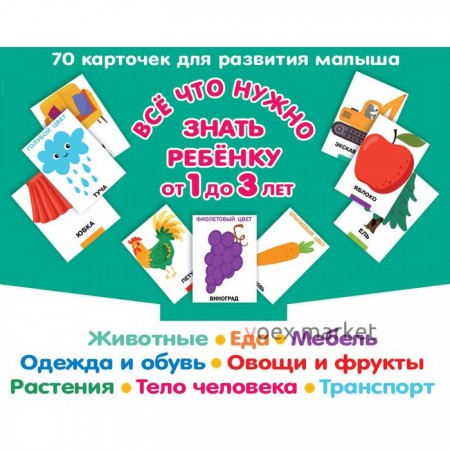 Всё, что нужно знать ребёнку от 1 до 3 лет