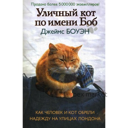 Уличный кот по имени Боб. Как человек и кот обрели надежду на улицах Лондона. Боуэн Дж.