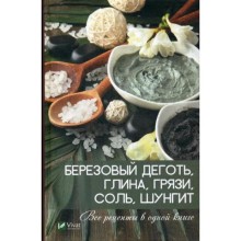 Березовый деготь, глина, грязи, соль, шунгит. Все рецепты в одной книге. Коняева Е.И.