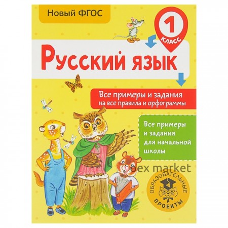 Русский язык. 1 класс. Все примеры и задания на все правила и орфограммы. Шевелёва Н. Н.