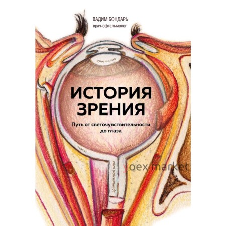 История зрения: путь от светочувствительности до глаза, Бондарь В.А.